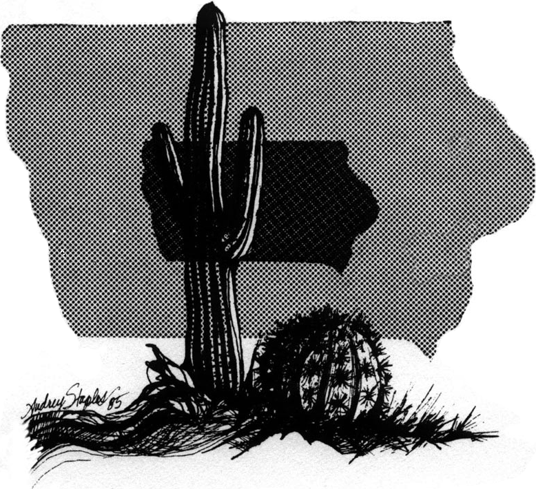 Cactus artwork by Audrey Staples