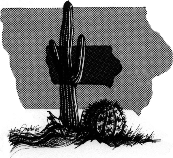 Cactus artwork by Audrey Staples MICSS logo — cactus artwork by Audrey Staples